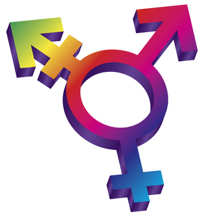 Sexuality of Trans Admirers